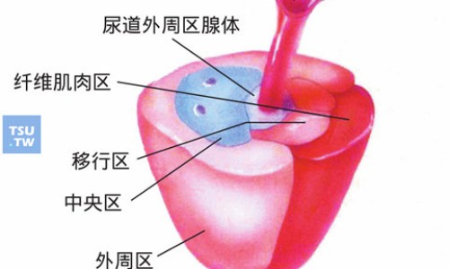 白马骨的作用网 | 白马骨的6种吃法大全,白马骨治什么病